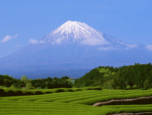 Mount Fuji