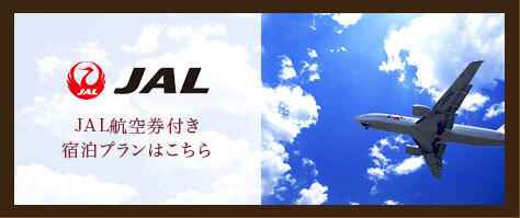 JAL航空券付きプラン