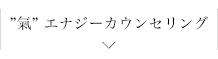 ”氣” エナジーカウンセリング