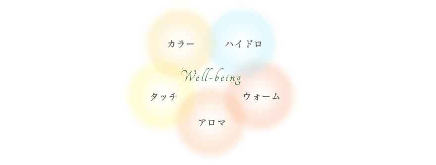 カラー ハイドロ タッチ アロマ ウォーム Well-being