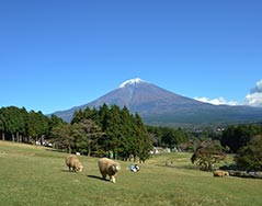 まかいの牧場