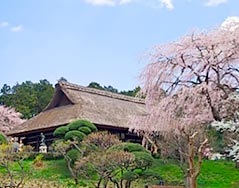 秩父宮記念公園